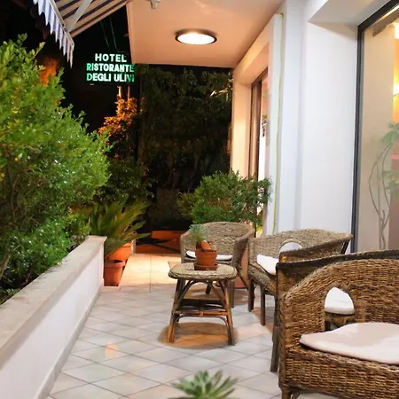 Szálloda Degli Ulivi 3*