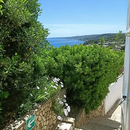 Degli Ulivi Castro (Lecce)