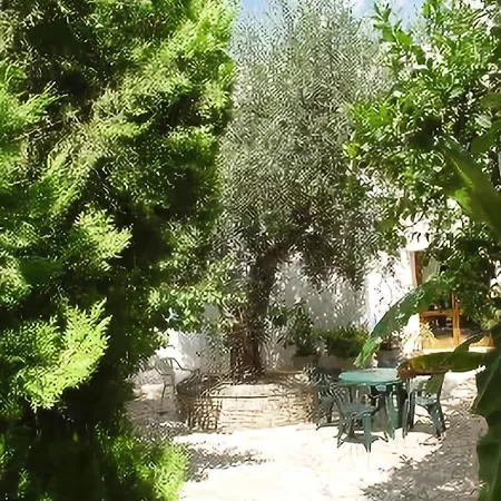 Szálloda Degli Ulivi