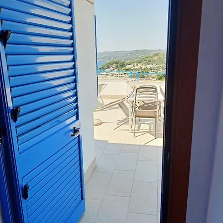 Degli Ulivi Hotel 3*