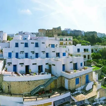 Degli Ulivi
