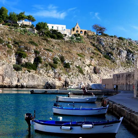 Degli Ulivi 3*
