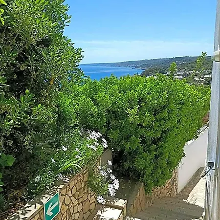 Hotel Degli Ulivi 3*