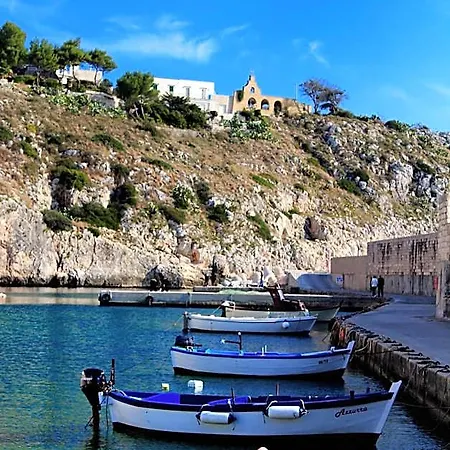 Degli Ulivi