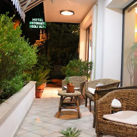 Degli Ulivi فندق 3*