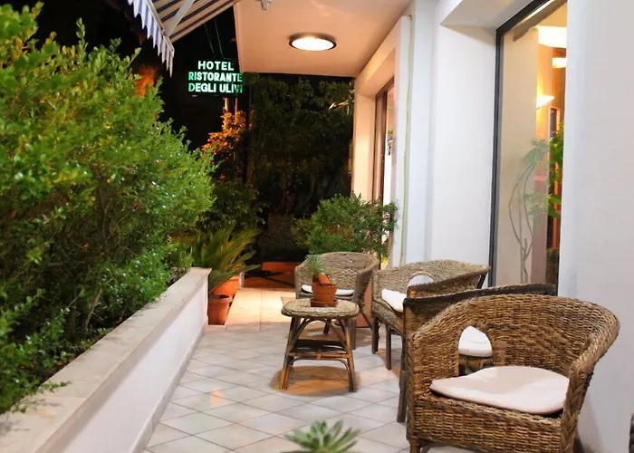 Hotel Degli Ulivi 3*